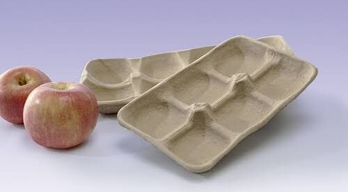 Pulp Moulded Apple Tray 05