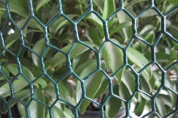 Chicken Wire Mesh 06