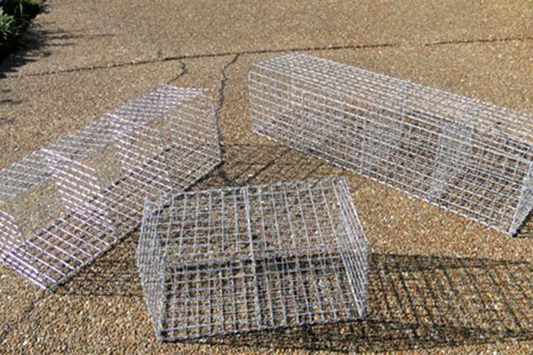 Gabion Box 04