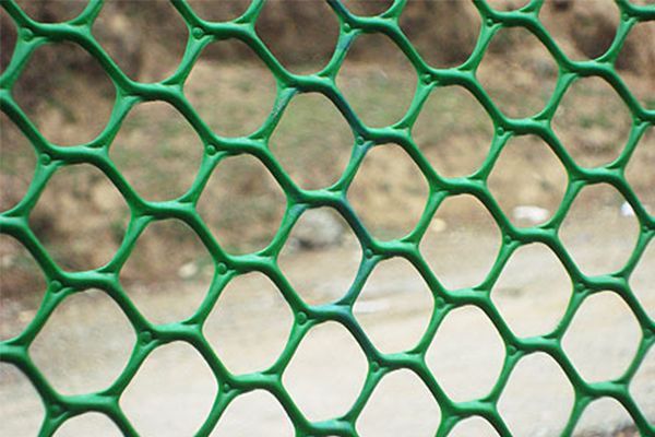 Plastic Mesh Fencing 06