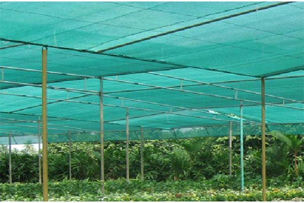 Synthetic Fibre Shade Net 03