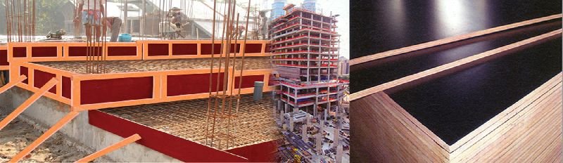 Shuttering Plywood 01