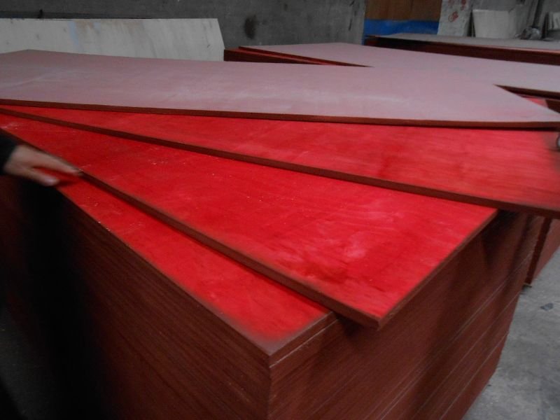 Shuttering Plywood 03