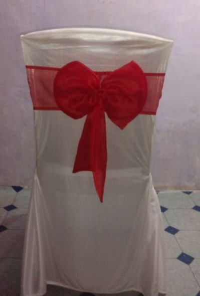 Plain Wedding Chair Cover 05