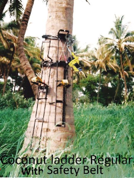 Coconut Tree Climbing Device 01