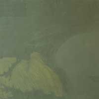 Black Rustic Slate Stone