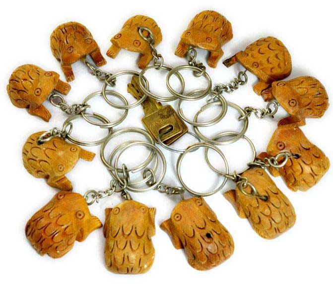 Item Code : AIKC218A