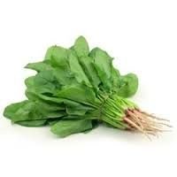Fresh Spinach 01