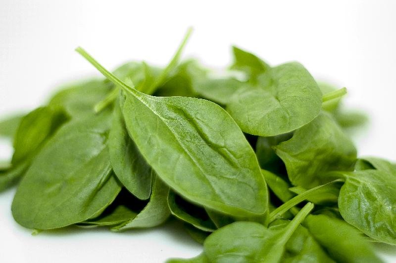 Fresh Spinach 02