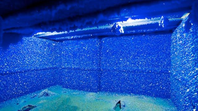 Copper Sulphate 06