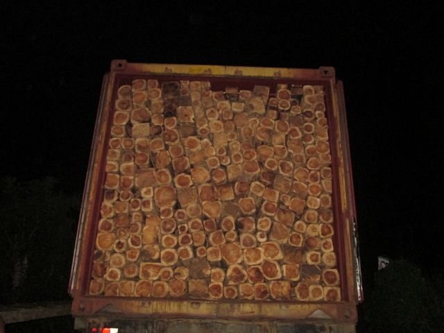 Ecuador Teak Wood Square Log 04