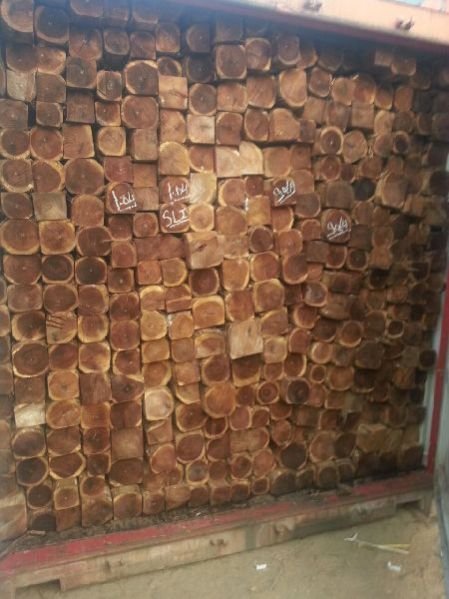Ecuador Teak Wood Square Log 05
