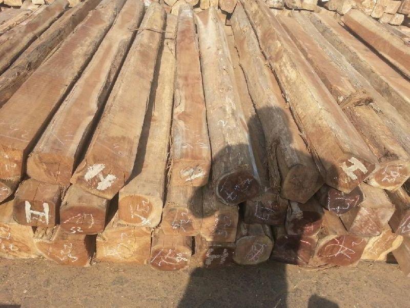Ghana Teak Wood Square Log 02
