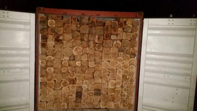 Ghana Teak Wood Square Log 03