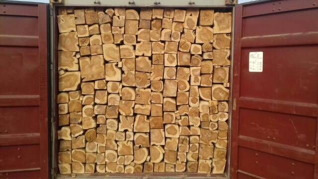 Ghana Teak Wood Square Log 04
