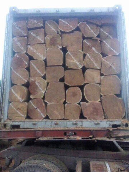 Ghana Teak Wood Square Log 05