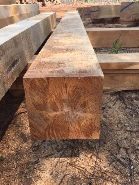 Indonesian Teak Wood Square Log 01