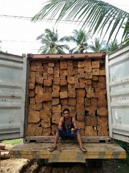 Indonesian Teak Wood Square Log 02