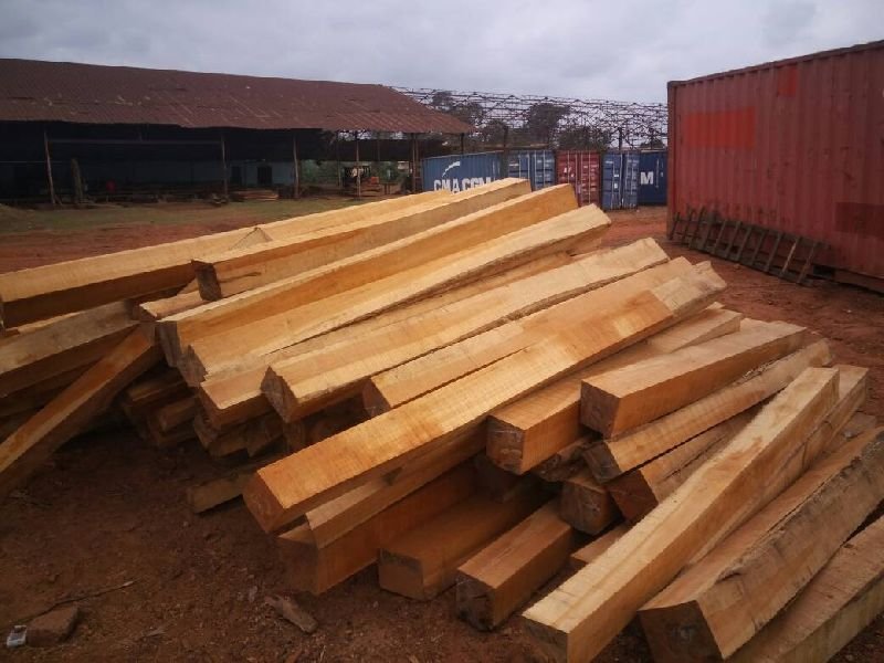 Ivory Coast Teak Wood Square Log 01