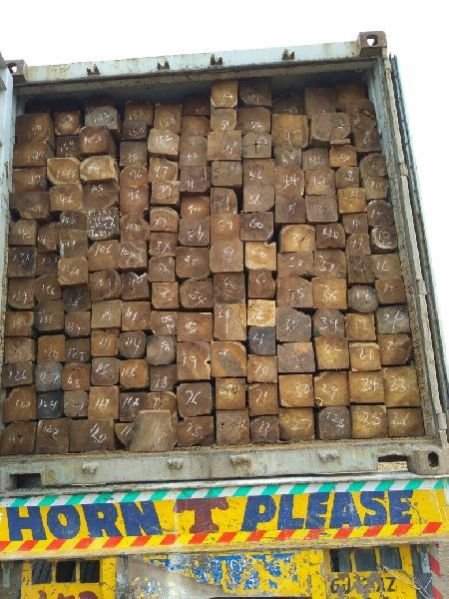 Sudan Teak Wood Square Log 01