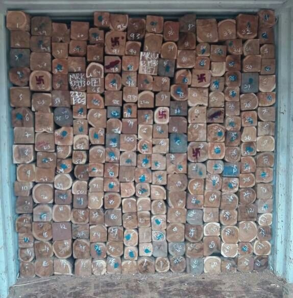 Sudan Teak Wood Square Log 03