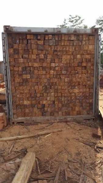 Sudan Teak Wood Square Log 04