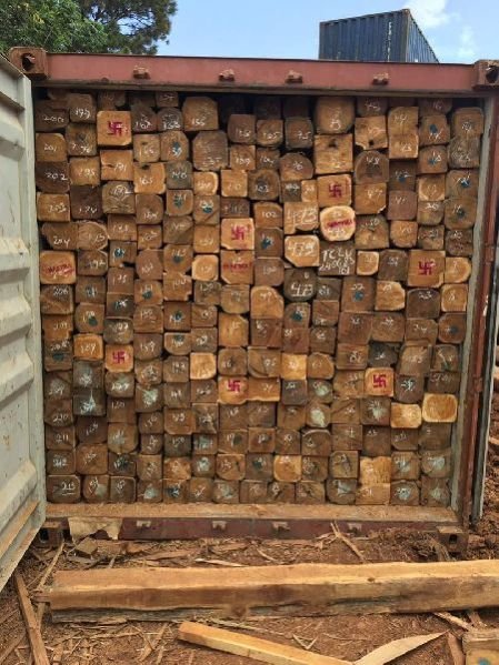 Sudan Teak Wood Square Log 05