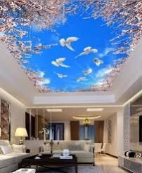 Customized Pop Ceiling Service 02