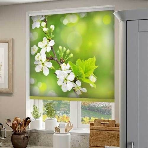 Customized Roller Blinds 19
