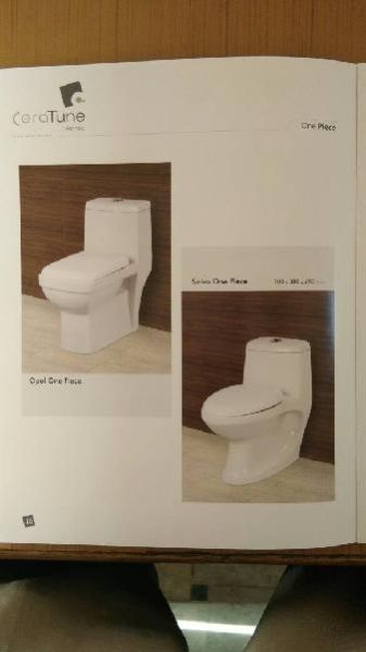 Floor Mounted Water Closet 06