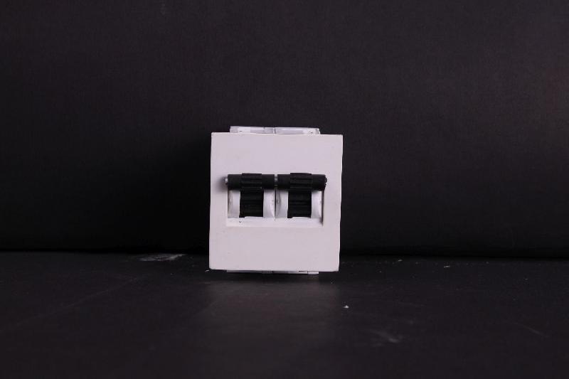 Mini Double Pole MCB 02