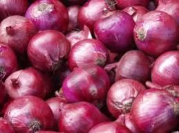 Fresh Onion 03