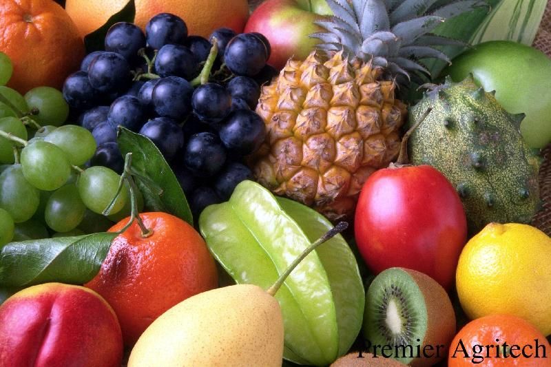 Fresh Fruits 02