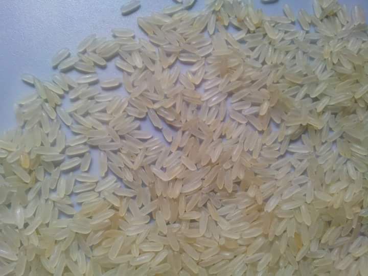 Parboiled Rice 02