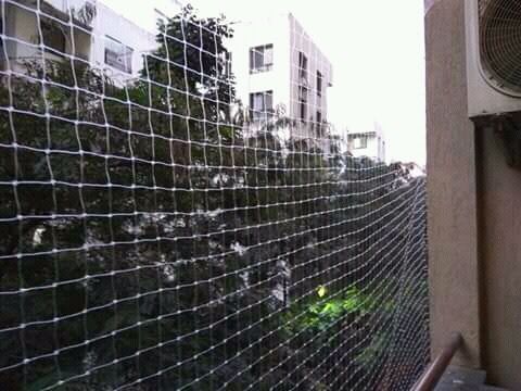 Anti Bird Net 05