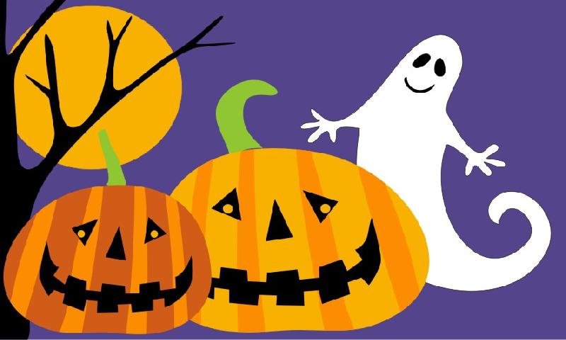 Vinyl Backed Coir Door Mat 05