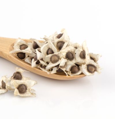 Moringa Seeds 02