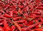 Dry Red Chilli