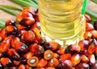 Palm Seed Oil