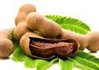Tamarind Pods