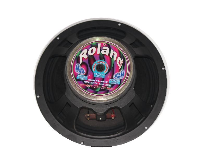 12 Inch 120 Watt Speaker 02