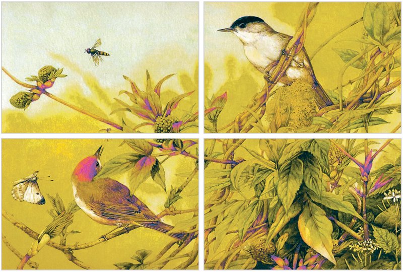 Picture Ceramic Tiles 02