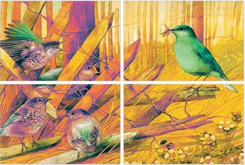 Picture Ceramic Tiles 03