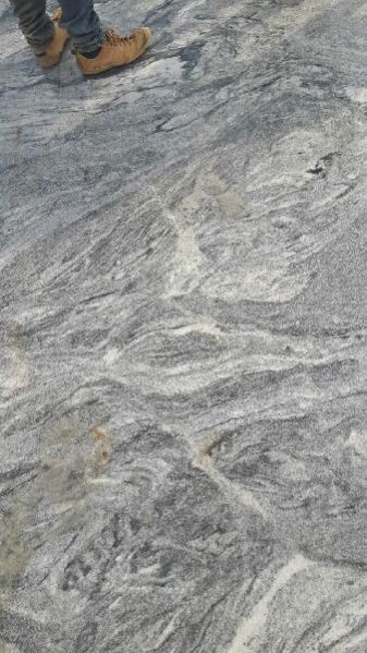 Viscon White Granite Slabs 05