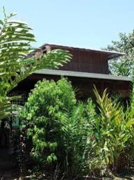 Farmhouse Organic Trees Construction Services 01