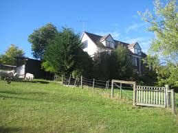 Farmhouse Organic Trees Construction Services 03