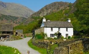 Farmhouse Organic Trees Construction Services 05