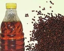 Mustard Oil 03