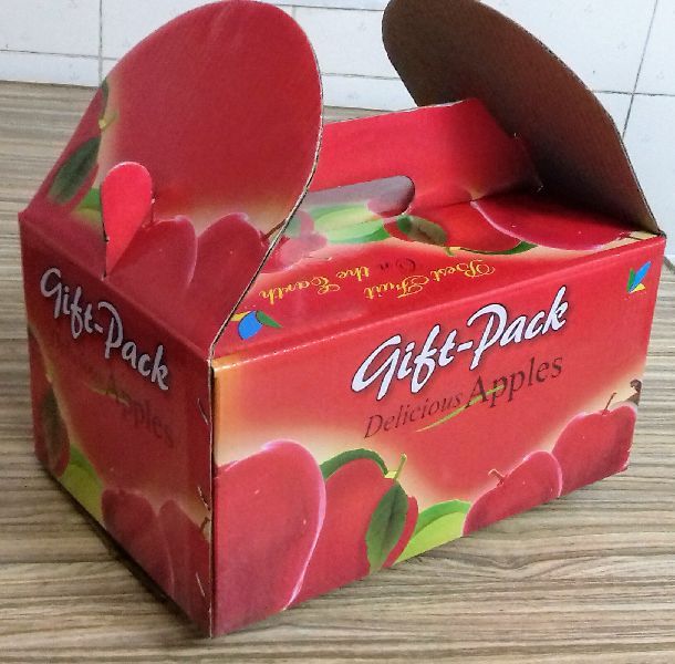 Printed Corrugated Box 04