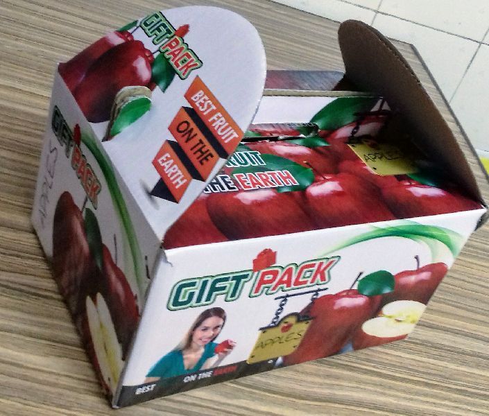 Printed Corrugated Box 02